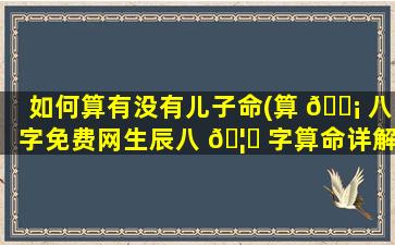 如何算有没有儿子命(算 🐡 八字免费网生辰八 🦅 字算命详解)